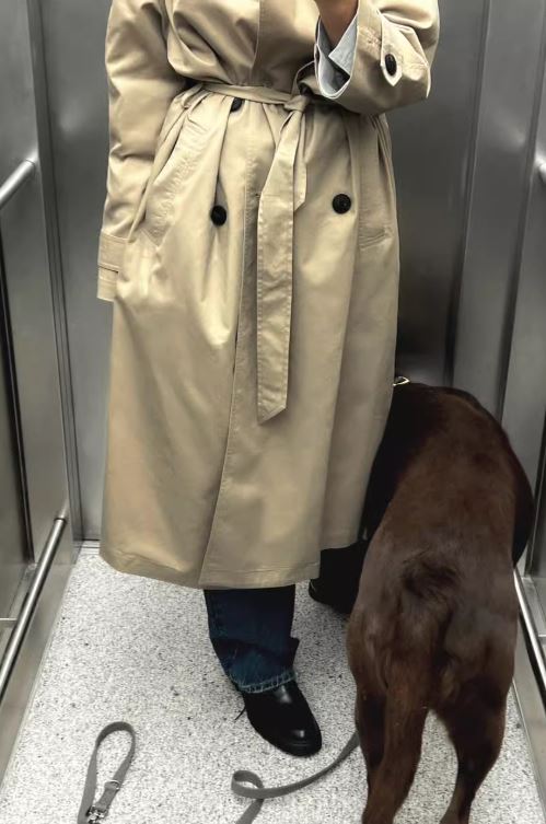 Viraler Trenchcoat
